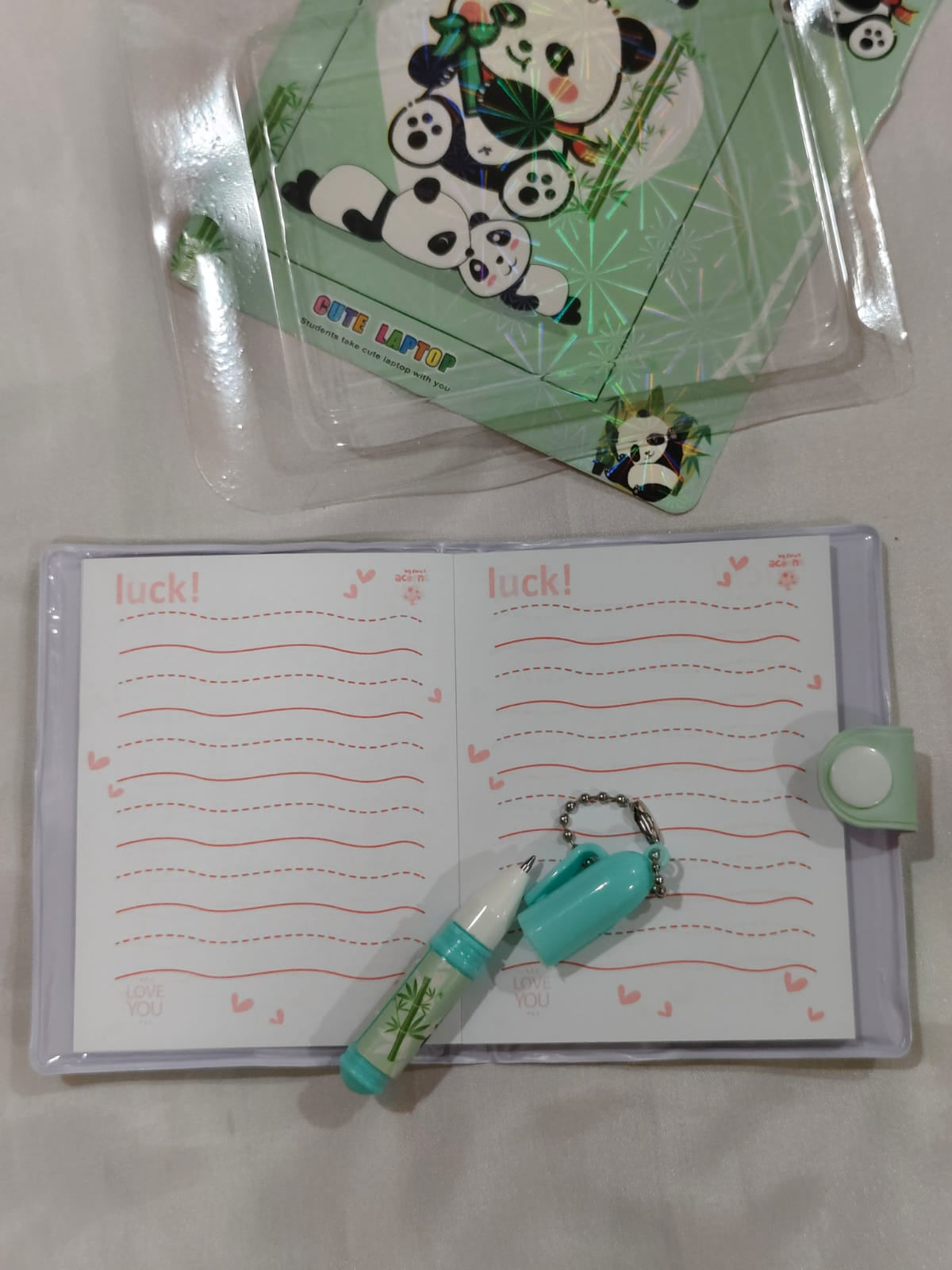 Diary Pen set
