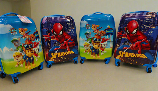 Small Size Trolly Suitcase